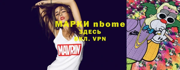 шишки Пестово