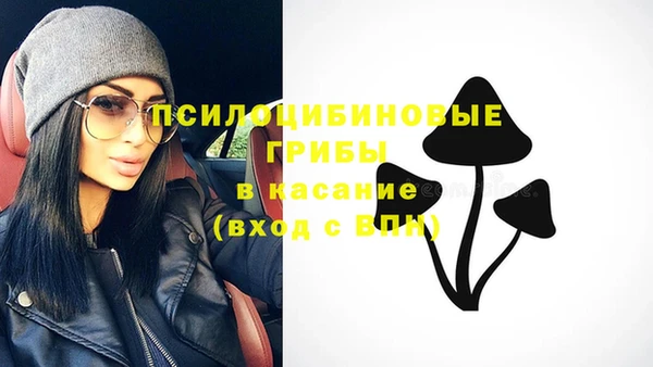 прущая мука Переславль-Залесский