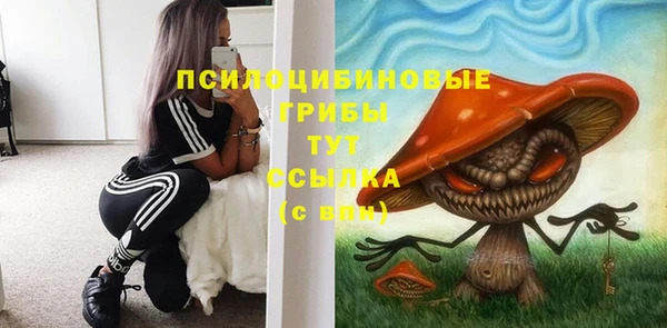 шишки Пестово