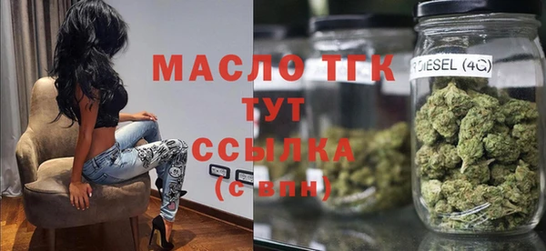 индика Вяземский