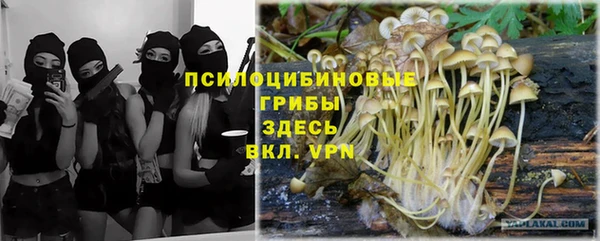 прущая мука Переславль-Залесский