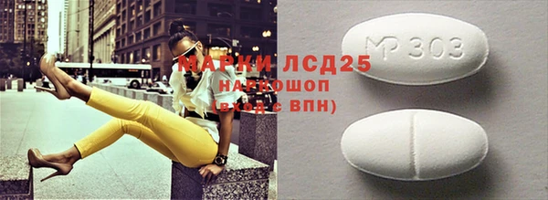 шишки Учалы
