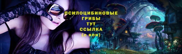 шишки Пестово