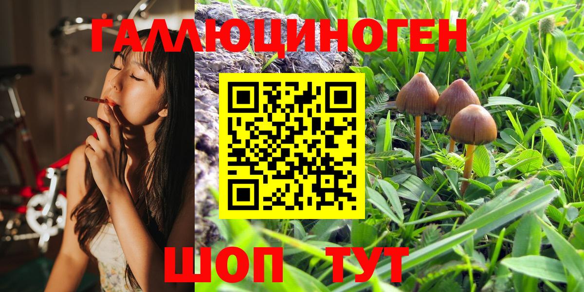 Псилоцибиновые грибы Psilocybe  Вход с VPN  Аргун 