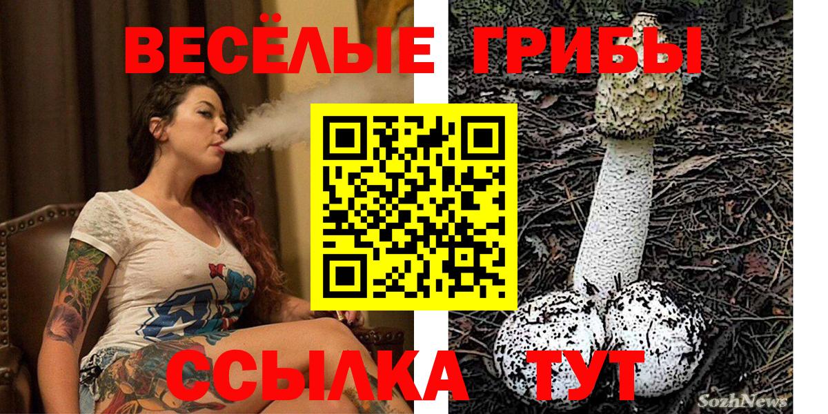 Псилоцибиновые грибы прущие грибы Аргун