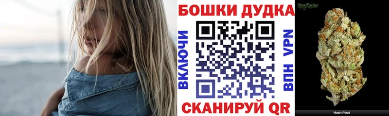 Бошки марихуана планчик  Аргун 